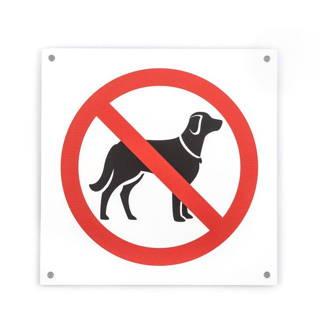 Hovedbilde Hund forbudt 15x15 cm